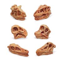 、‘、。； 11PCS Simulation Dinosaur Skull Model Tyrannosaurus Rex Velociraptor Triceratops Skeleton Skull Fossil Miniature Toy Figure Gift