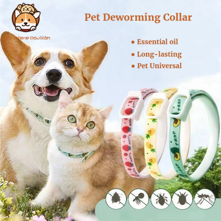 【Ready Stock】Pet Cat Collar Dog Long-lasting Deworming Collar | Lazada PH