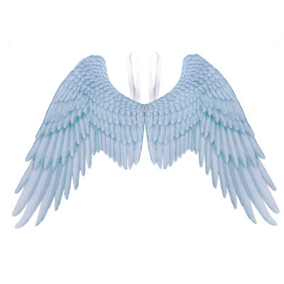 3D Angel Wings Mardi Gras Theme Party Cosplay Wings for Kids Adult Big Black Wings Devil Costume for Halloween Christmas Party