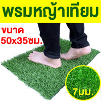 พรมหญ้าเทียม พรมเช็ดเท้า ขนาด 50x35ซม. 7มม. พรมดักฝุ่น ดักฝุ่น กันฝุ่น หญ้าเทียม หญ้าเทียมราคาถูก มีรูระบายน้ำ ปูพื้น พรมตกแต่งบ้าน