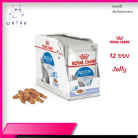 ✨ส่งฟรี ด่วนๆ[ยกกล่อง 12 ซอง] Royal Canin Indoor Pouch Jelly อาหารเปียกแมวโต เลี้ยงในบ้านและทำหมัน อายุ 1 ปีขึ้นไป  จัดส่งฟรี ✨