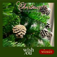 WishYou [พร้อมส่ง] ลูกสน แขวนตกแต่งต้นคริสต์มาส พร็อพถ่ายรูป ลูกสนแห้ง 5ลูก Pine cone for Christmas tree decoration Photoshoot prop 5pc/set