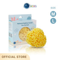 Chitida Natural Mediterranean Sea Sponge  ฟองน้ำธรรมชาติ 100% ชนิด Honey Comb สำหรับอาบน้ำ