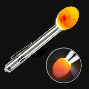 LED Cool Light Egg Torch Egg Tester Egg Candler - China Automatic  Intelligent Egg Incubators, Hatch Machine