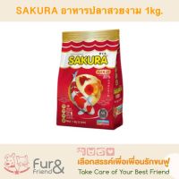 Sakura Gold ซากุระ อาหารปลาชนิดเม็ดลอยน้ำ ใช้สำหรับปลาสวยงามทุกประเภท 1 kg.