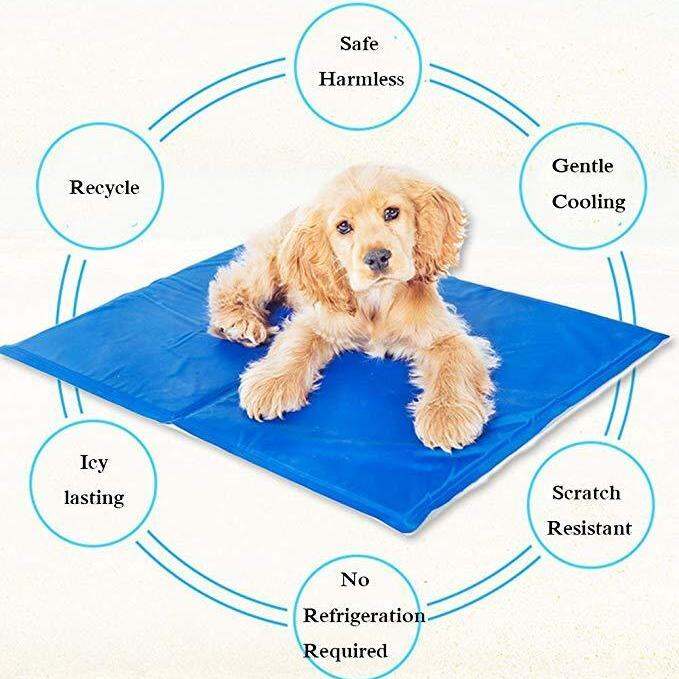 pet-cool-mat-ที่นอนสุนัข-แบบเย็น-ที่นอนแผ่นเจลเย็น-เย็นสบาย-รุ่นหนา90-50-cm-สำหรับสุนัขและแมว-สุนัข-เบาะรองนั่ง-รองนอน-ที่นอนหมา-ที่นอนน้