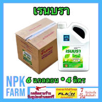 ***ขายยกลัง*** เรนบรา ขนาด 4 ลิตร ยกลัง 6 แกลลอน สารจับใบ จับใบ ชนิดเข้มข้น สูตรทนฝน สารเพิ่มประสิทธิภาพ ปรับสภาพน้ำ ทำให้กำจัดแมลงดีขึ้น