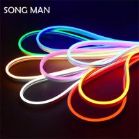 Home Appliance Strip Lights Flexible LED Neon 2835 12V 6X12mm RGB Led Flash Flex Rope Waterproof Room Garden Lighting SONG Man