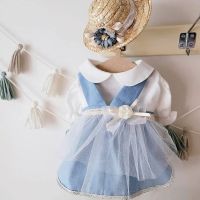 INS Spring Summer Suit with Pure Cotton White Shirt Dog Dress Pink Belt Skirt Blue Mesh Skirt Short Style with Pet Dog Clothes Dresses