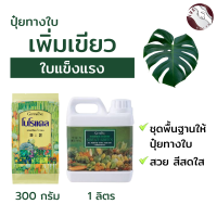 #เซทพื้นฐานของการให้ปุ๋ยทางใบ #ปุ๋ยน้ำทางใบ #สารจับใบ #แคลเซียมโบรอน #แคลเซียมพืช #วัคซีนพืช #ปุ๋ยกิฟฟารีนแท้ 100%