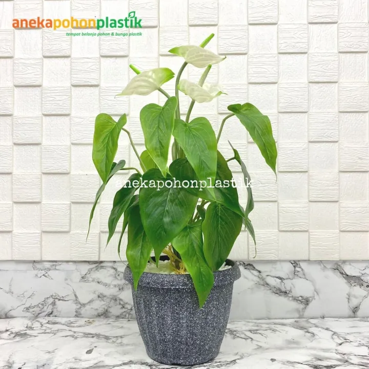 Tanaman Hias Bunga Anthurium X3 Putih Latex Artificial Pot Batu Alam ...