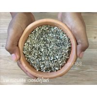 เวอร์มิคูไลท์(Vermiculite) วัสดุปลูก และเพาะต้นไม้ กระบองเพชร ชวนชม