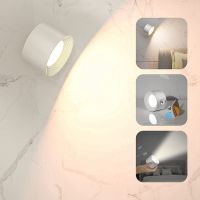 LED Wall Sconce, Wall Mounted Lamp with Rechargeable Battery 3 Color Temperature Level 360° Rotate Magnetic Ball