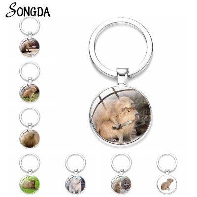 【CW】✷  Capybaras Chain Capybara Photo Glass Keychain Color  Jewelry Gifts