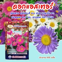 เมล็ดดอกแอสเตอร์ ASTER ปริมาณ100เมล็ด เมล็ดพันธุ์ดอกแอสเตอร์  เมล็ดดอกไม้ เมล็ดพันธุ์ดอกไม้ ตราภูเขาทอง