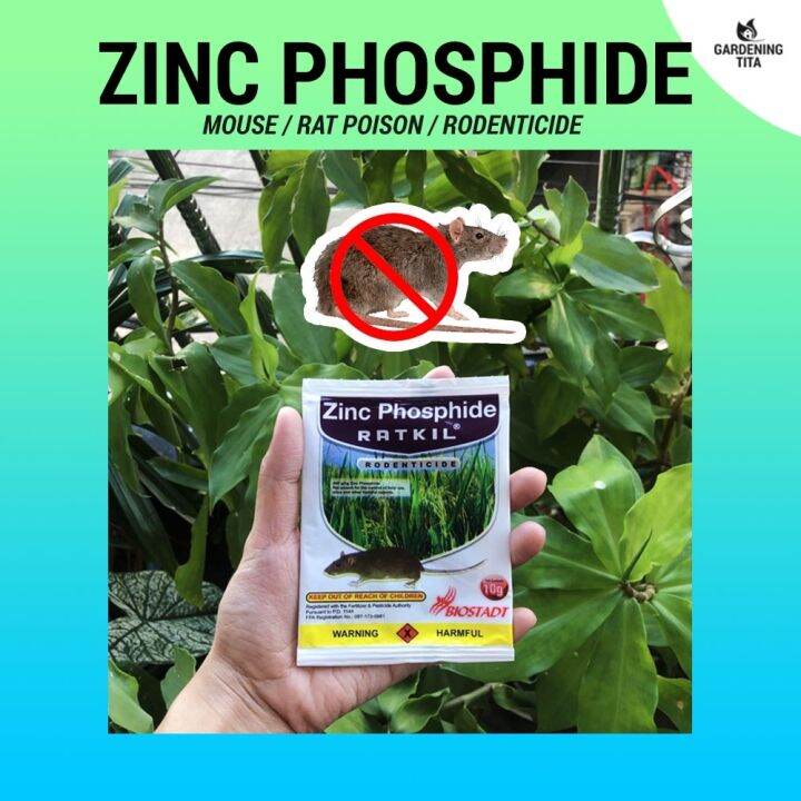 Zinc Phosphide Rat killer anti rat mouse lason sa daga Lazada PH
