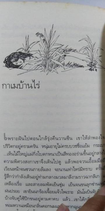 เสเพลบอยชาวไร่-พิมพ์ครั้งที่-7-โดย-รงค์-วงษ์สวรรค์-หนุ่ม-ศิลปินแห่งชาติ-วรรณกรรมไทย-พญาอินทรี