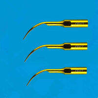 ลบแคลคูลัสทันตกรรม Scaler เคล็ดลับ3ชิ้นล็อตสุขอนามัยช่องปาก GD1T เคล็ดลับทันตกรรมสำหรับ SAEC และ DTE