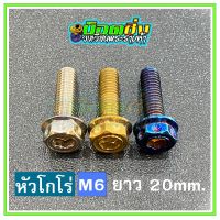 น็อตสแตนเลส หัวโกโร่ ขนาดเกลียว m6 ยาว 20 mm.