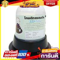 ✨โดนใจ✨ เครื่องดักแมลงวัน EZI-TRAP อุปกรณ์กำจัดแมลงและสัตว์รบกวน EZI-TRAP FLY MOSQUITO TRAP