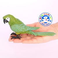 Munich Play - โมเดล Parrot นกแก้ว เขียว ขนาด 17.00 CM (จากหาดใหญ่)