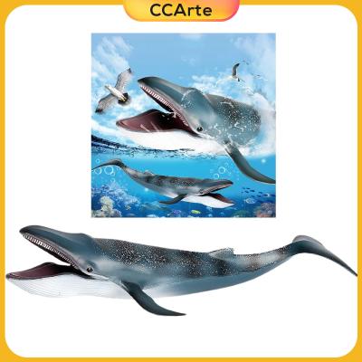 โมเดลฟิกเกอร์วาฬสีน้ำเงินเหมือนจริงของของเล่นสำหรับการเรียนรู้สัตว์ทะเล CCArte