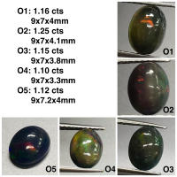 เจียรหลังเบี้ยโอปอลไฟสีดำเอธิโอเปียสอบเทียบ Ethiopian black fire opal cabochon calibrated