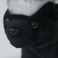 Honey Badger ความแม่นยำสูง Ratel น่ารัก Plushie Skunk ของเล่นตุ๊กตาสัตว์เหมือนจริงจำลองตุ๊กตายัดไส้ Kawai ของขวัญของเล่นสำหรับเด็ก2023ใหม่