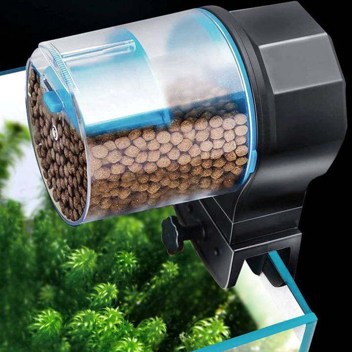 Fish Tank Aquarium Vegetable Feeder, Bottom Feeding Fish, Pleco, Clown Loach /Snail, Etc