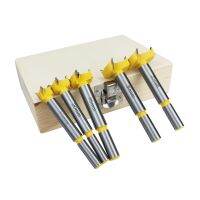 Allsome 5-Piece Forstner Bit Set with wood CaseCarbide TippedWood Drilling bits Set with Round Shank