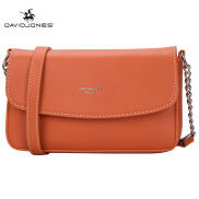 David jones Paris túi cho phụ nữ túi sling bag cho phụ nữ túi đeo vai túi