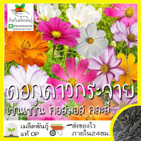 เมล็ดพันธุ์ ดาวกระจายเซนเซชั่น ดอกคอสมอส คละสี 200 เมล็ด Sensation Cosmos Flower Seed เมล็ดพันธุ์แท้นำเข้าจากต่างประเทศ