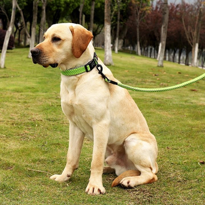 amazon-ขายร้อนอุปกรณ์สัตว์เลี้ยงสายจูงสุนัขสามชิ้นสายจูงสัตว์เลี้ยงสายจูงสะท้อนแสงสายจูงสุนัขเดิน