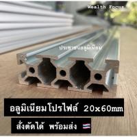 ยาวสุด1.3เมตร อลูมิเนียมโปรไฟล์ T-slot 20x60mm สั่งตัดได้ Aliminium Profile T-slot 20x60 mm