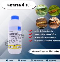 แอสเซนด์ 1L. ฟิโพรนิล สารกำจัดแมลง เพลี้ยไฟ ปลวก หนอนชอนใบหนอนม้วนใบ หนอนกอข้าว หนอนกออ้อย หนอนเจาะ ด้วงหมัดผัก ด้วงต่างๆ เสี้ยนดินดูด