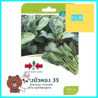 คะน้าบางบัวทอง 35 ศรแดงCHINESE KALE SEED EAST-WEST SEED BANGBUATHONG 35 **ด่วน สินค้าเหลือไม่เยอะ**