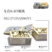 SKIIP13NAB066V1 K203A01 K201A03 K202A03 100 ใหม่และเป็นต้นฉบับ