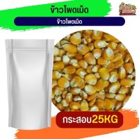 corn kernels ข้าวโพดเม็ด  อาหารนกและสัตว์ฟันแทะ (กระสอบ 25KG)