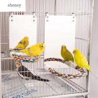 SHENEY Lovebirds Conure อุปกรณ์เสริมกรง Parakeet กระจกหอยเป๋าฮื้อนกแก้วของเล่นแกว่ง