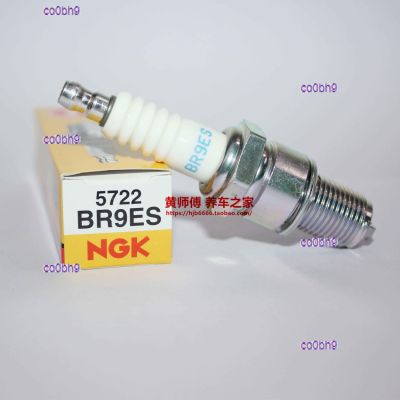 co0bh9 2023 High Quality 1pcs NGK spark plug BR9ES is suitable for two-stroke parachute power paraglider Most 185 Black Devil Raytheon