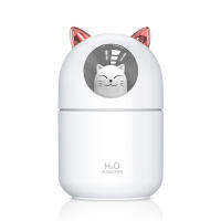 เครื่องพ่นไอน้ำ humidifier Diffuser 300ml เครื่องพ่นไอน้ำ เครื่องพ่นอโรม่า เครื่องเพิ่มความชื้นในอากาศ มีไฟLEDเปลี่ยนสี