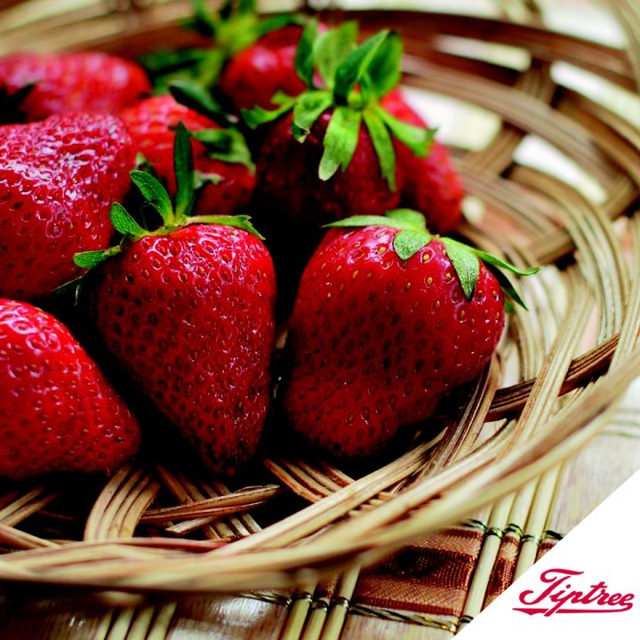 premium-import-x-1-tiptree-strawberry-preserve-340gm-แยมสตอเบอร์รี่พรีเซิฟ-แยมพรีเมี่ยม-340-g-tt02