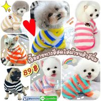 ??พร้อมส่ง??? เสื้อแฟชั่นลายทางสีสดใส ผ้าขนสำลีปุยนุ่มนิ่ม for pet สุนัข หมา แมว