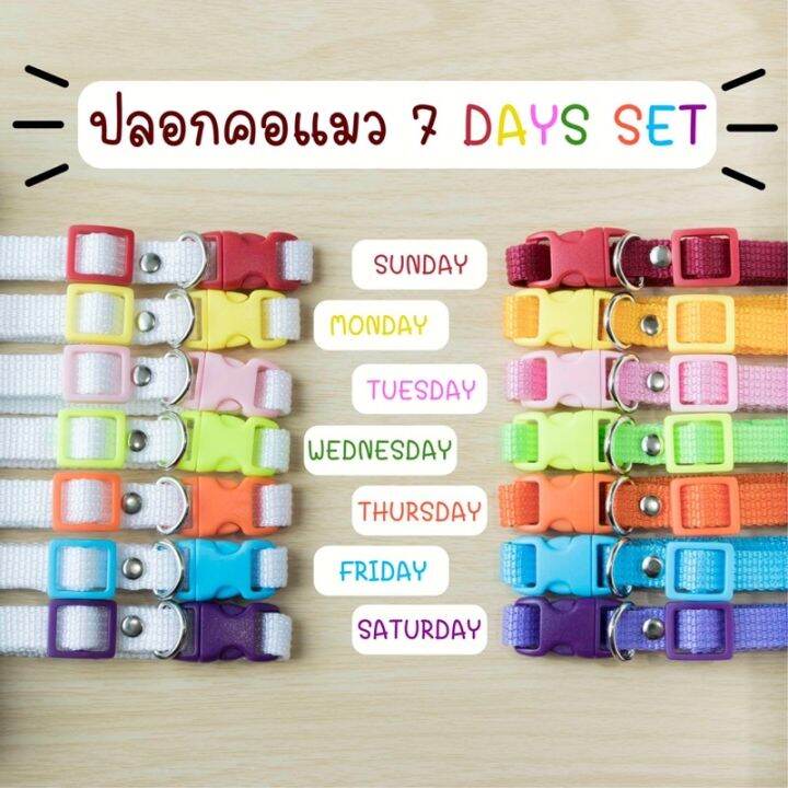 ปลอกคอแมว-ปลอกคอลูกแมว-แมวเด็ก-มี-2-ไซส์-set-7-ชิ้น-พร้อมส่งในไทยค่า