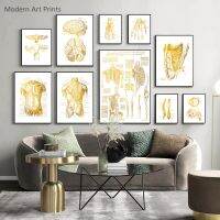 Golden Human Anatomy โปสเตอร์งานศิลปะ Medical Wall ภาพกล้ามเนื้อและกระดูกผ้าใบพิมพ์ภาพวาดสำหรับโรงพยาบาล Clinic ตกแต่ง New