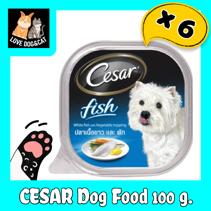 CESAR Dog Food รสปลาเนื้อขาวและผัก 100g. x 6 Unit | Lazada.co.th