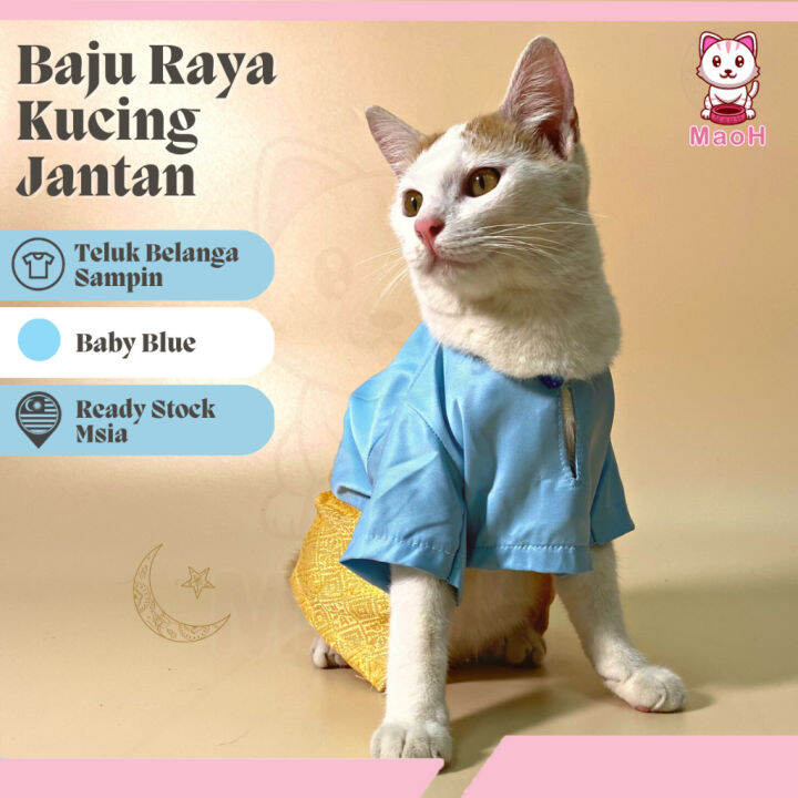 ♖MaoH Baju Raya Kucing Jantan (Baby Blue) Teluk Belanga Sampin 2023 Cat
