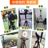 Weifeng 3320 Tripod Mobile Phone Holder Desktop Live Stream Device SLR Camera Taking Pictures and Selfies Anti-Shake Tripod