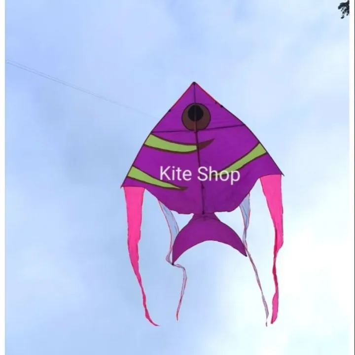 Kite Angle Fish Kite 2.2m Lazada