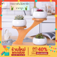 ( สุดคุ้ม+++ ) ชุดกระถางต้นไม้เซรามิก กระถางทรงบาตร 3 กระถาง ฐานทรงกิ่งไม้ Tree Top เหมาะสำหรับปลูกต้นไม้ขนาดเล็ก ราคาถูก กระถาง ต้นไม้ พลาสติก กระถาง ต้นไม้ แบบ ยาว กระถาง ต้นไม้ ใน บ้าน กระถาง ปลูก แค ค ตั ส